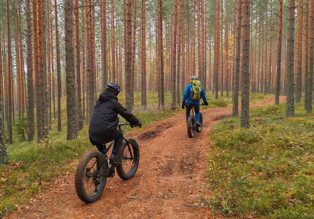 Syyspyöräilyä metsäpolulla.